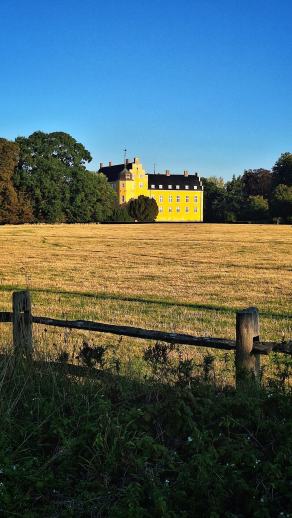 Radreise Dänemark 2025 #414, Fyn, Sjælland, Møn, Lolland, Langeland, Ærø, August 2025