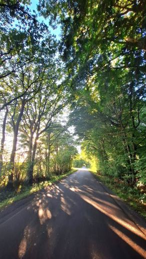 Radreise Dänemark 2025 #415, Fyn, Sjælland, Møn, Lolland, Langeland, Ærø, August 2025