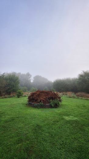 Radreise Dänemark 2025 #421, Fyn, Sjælland, Møn, Lolland, Langeland, Ærø, August 2025