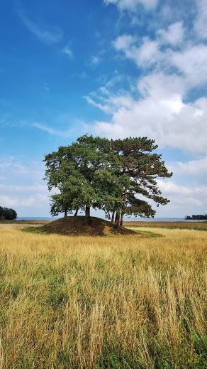 Radreise Dänemark 2025 #425, Fyn, Sjælland, Møn, Lolland, Langeland, Ærø, August 2025