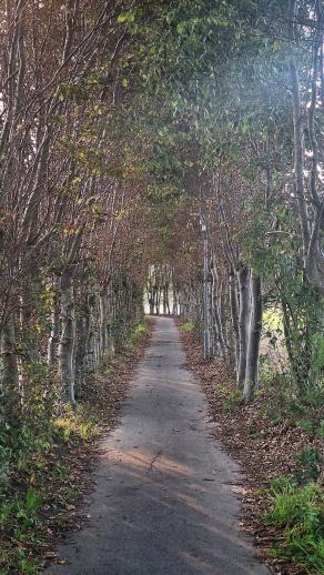 Radreise Dänemark 2025 #439, Fyn, Sjælland, Møn, Lolland, Langeland, Ærø, August 2025