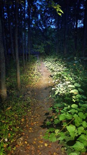 Radreise Dänemark 2025 #447, Fyn, Sjælland, Møn, Lolland, Langeland, Ærø, August 2025