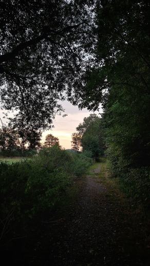 Radreise Dänemark 2025 #451, Fyn, Sjælland, Møn, Lolland, Langeland, Ærø, August 2025