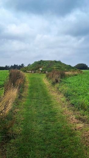 Radreise Dänemark 2025 #458, Fyn, Sjælland, Møn, Lolland, Langeland, Ærø, August 2025