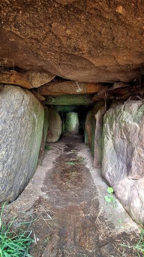 Radreise Dänemark 2025 #459, Fyn, Sjælland, Møn, Lolland, Langeland, Ærø, August 2025