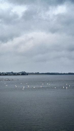 Radreise Dänemark 2025 #460, Fyn, Sjælland, Møn, Lolland, Langeland, Ærø, August 2025