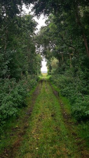 Radreise Dänemark 2025 #461, Fyn, Sjælland, Møn, Lolland, Langeland, Ærø, August 2025