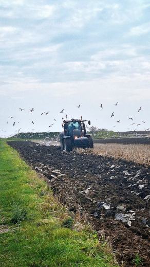 Radreise Dänemark 2025 #463, Fyn, Sjælland, Møn, Lolland, Langeland, Ærø, August 2025