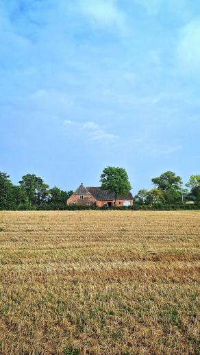 Radreise Dänemark 2025 #467, Fyn, Sjælland, Møn, Lolland, Langeland, Ærø, August 2025