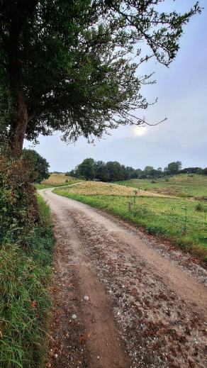 Radreise Dänemark 2025 #482, Fyn, Sjælland, Møn, Lolland, Langeland, Ærø, August 2025