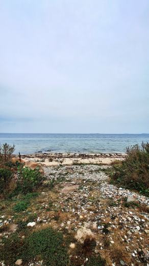 Radreise Dänemark 2025 #483, Fyn, Sjælland, Møn, Lolland, Langeland, Ærø, August 2025