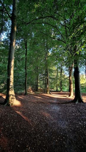 Radreise Dänemark 2025 #487, Fyn, Sjælland, Møn, Lolland, Langeland, Ærø, August 2025