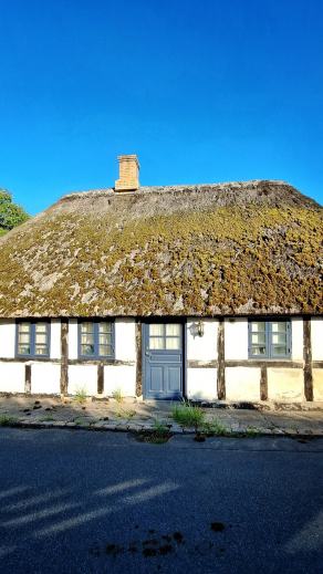 Radreise Dänemark 2025 #488, Fyn, Sjælland, Møn, Lolland, Langeland, Ærø, August 2025