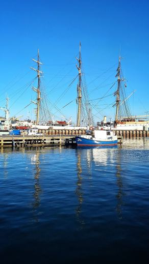 Radreise Dänemark 2025 #491, Fyn, Sjælland, Møn, Lolland, Langeland, Ærø, August 2025