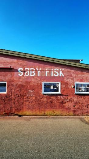 Radreise Dänemark 2025 #492, Fyn, Sjælland, Møn, Lolland, Langeland, Ærø, August 2025