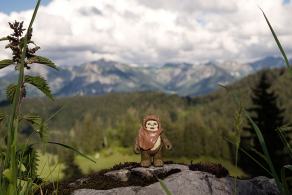 #339 The Ewok - Oberstdorf (DE), Juni 2012