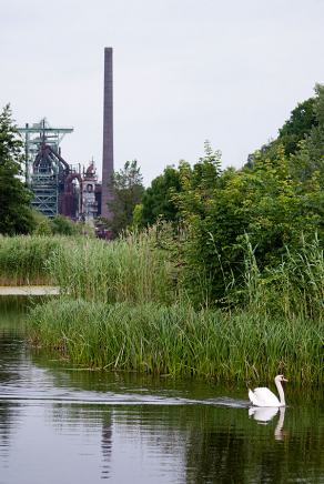 #373 Recultivation - Hattingen (DE), Juni 2013