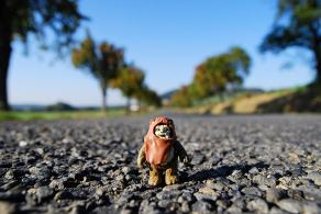 #387 The Ewok - Brusné (CZ), September 2013