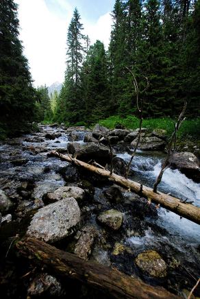 #408 Hohe Tatra #4 - Vysoké Tatry (SK), Juli 2014