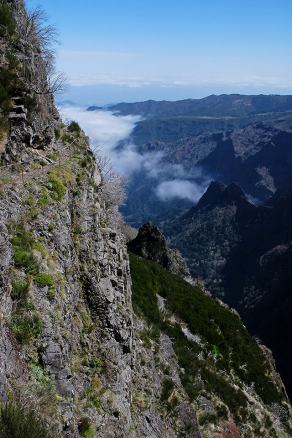 #436 Madeira #13 - Pico das Torres, Madeira (PT), März 2015