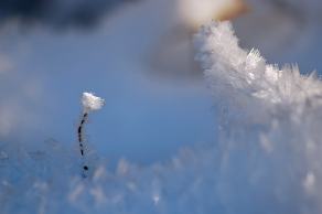 #484 Snow Crystals - Kesbern (DE), Januar 2017