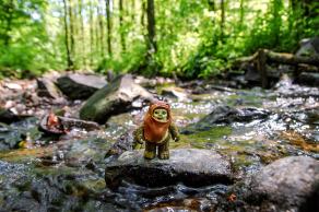 #493 The Ewok - Wuppertal (DE), Mai 2017