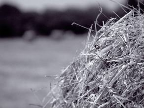 #9 Roll of Hay - Witten (DE), June 2003