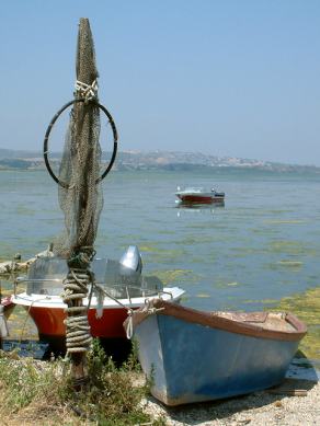 #36 Fishing Boats - Bages (FR), August 2004