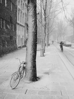 #67 Snowy Amsterdam - Amsterdam (NL), Dezember 2005
