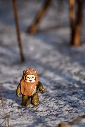 #331 The Ewok - Witten (DE), February 2012