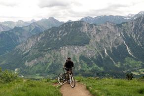 #335 Up to Fellhorn - Kornau (Oberstdorf) (DE), June 2012