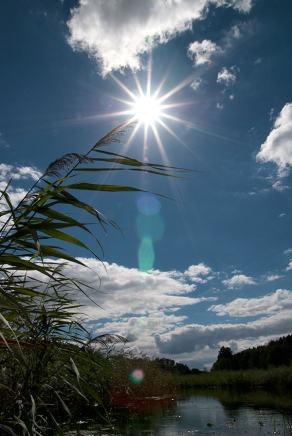 #383 Sunbeams on River Brda - Sapolno (PL), August 2013