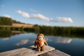 #385 The Ewok - Sapolno (PL), August 2013