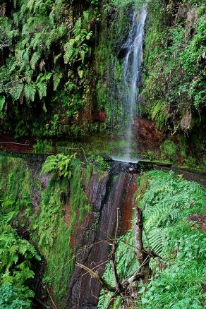 #424 Madeira #1 - Levada do Rei, São Jorge, Madeira (PT), March 2015