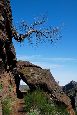 #437 Madeira #14 - Pico das Torres, Madeira (PT), March 2015