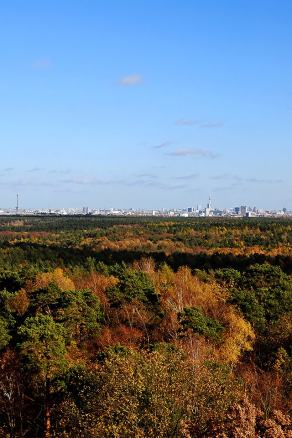 #469 Big City Skyline - Berlin (DE), November 2015