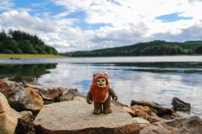 #497 The Ewok - Sorpesee, Sundern (DE), July 2017