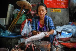 Impressions from Chiang Mai #26, Chiang Mai, Dezember 2017