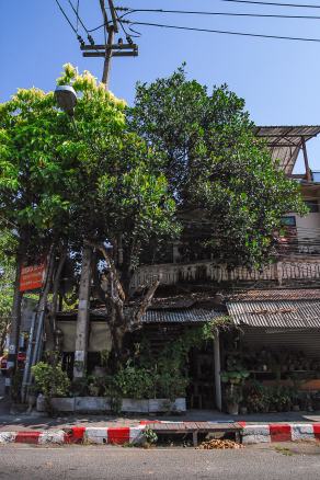 Impressions from Chiang Mai #40, Chiang Mai, Dezember 2017