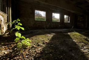 Fort Victoria / Fort St. Louis #15, Wickede, November 2011