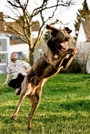 Gardenparty #7, Witten, März 2007