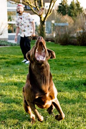 Gardenparty #8, Witten, März 2007