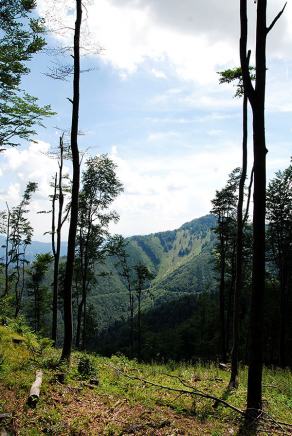 Impressions from Große Fatra / Veľká Fatra #3, Große Fatra / Veľká Fatra, July 2014