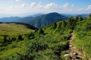 Impressions from Große Fatra / Veľká Fatra #25, Große Fatra / Veľká Fatra, Juli 2014