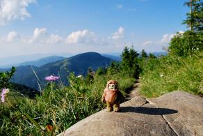 Impressions from Große Fatra / Veľká Fatra #26, Große Fatra / Veľká Fatra, July 2014