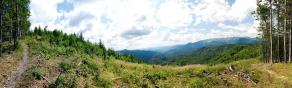 Impressions from Große Fatra / Veľká Fatra #49, Große Fatra / Veľká Fatra, Juli 2014