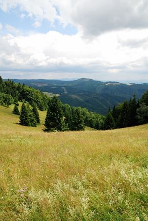 Impressions from Große Fatra / Veľká Fatra #55, Große Fatra / Veľká Fatra, July 2014