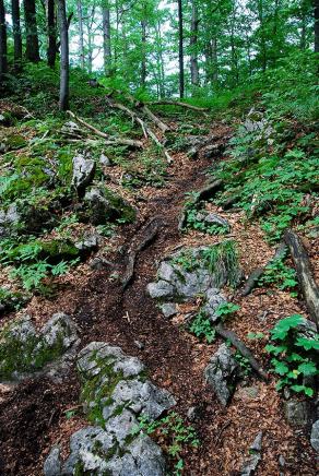 Impressions from Große Fatra / Veľká Fatra #57, Große Fatra / Veľká Fatra, July 2014