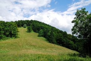 Impressions from Große Fatra / Veľká Fatra #58, Große Fatra / Veľká Fatra, July 2014