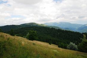 Impressions from Große Fatra / Veľká Fatra #61, Große Fatra / Veľká Fatra, July 2014